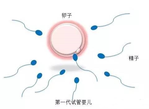 沪上生殖医学中心